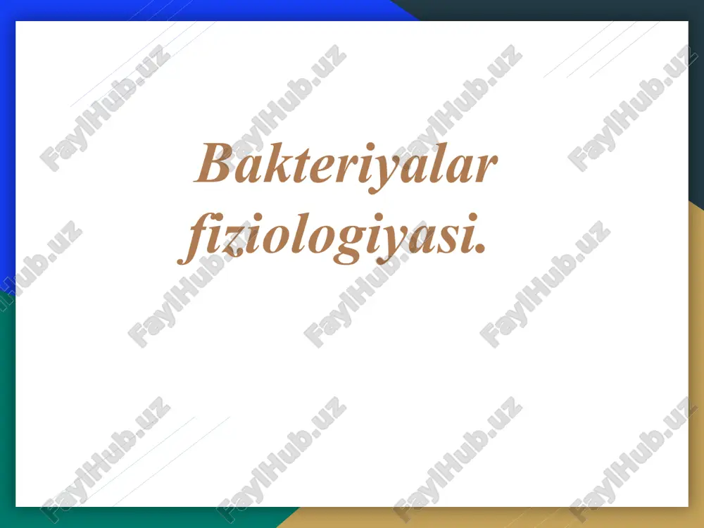 bakteriyalar fiziologiyasi. — PPTX