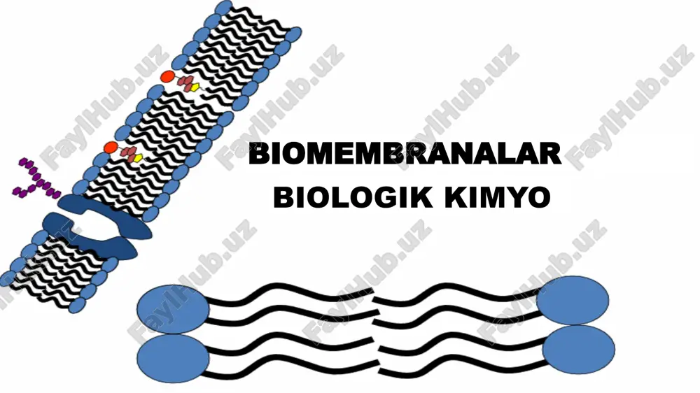 hiicre zarinin yap1s1 — PPTX