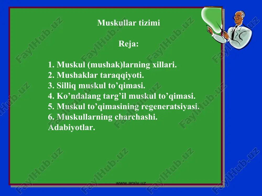 muskullar tizimi — PPT