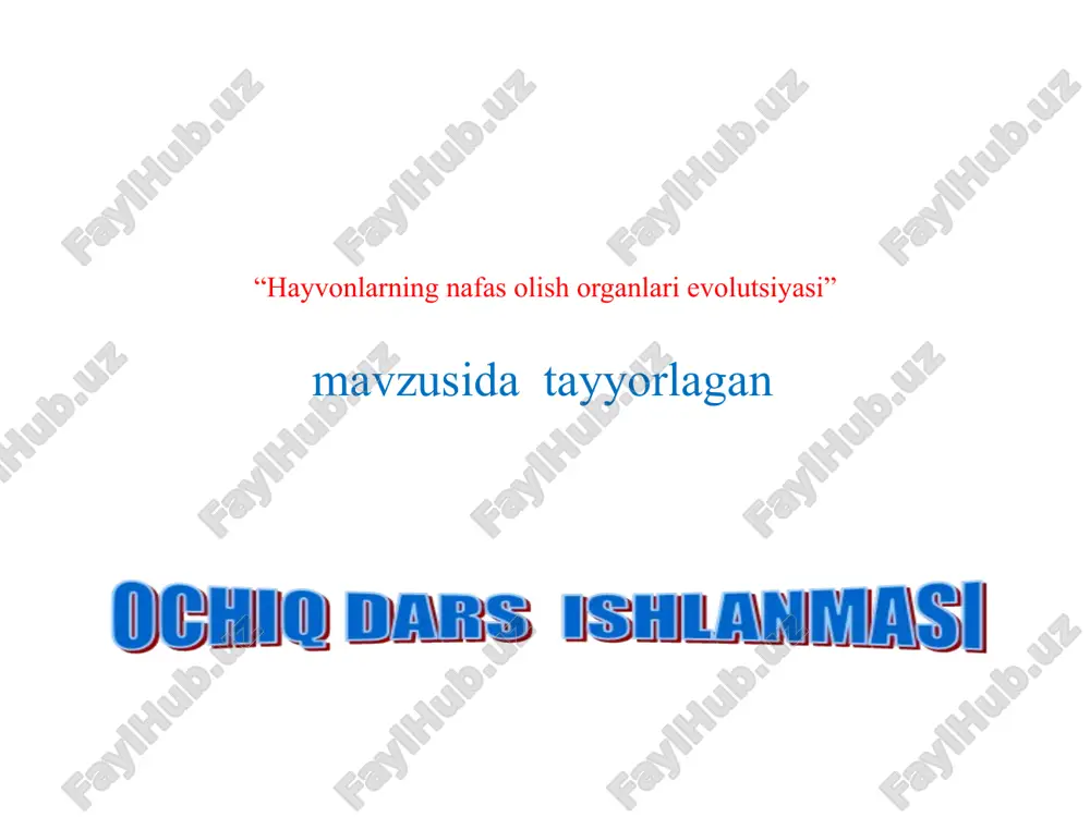 hayvonlarning nafas olish organlari evolutsiyasi — PPTX