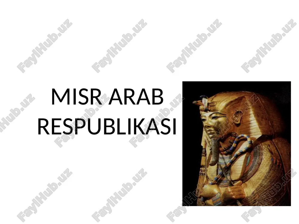 misr arab respublikasi — PPTX