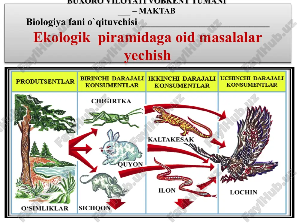 ekologik piramidaga oid masalalar yechish — PPTX