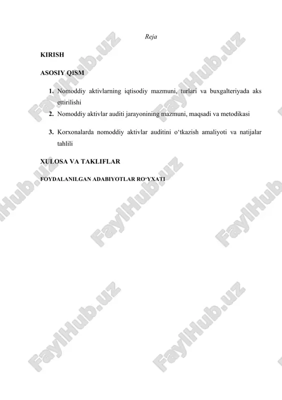 nomoddiy aktivlar auditini o‘tkazish — DOC