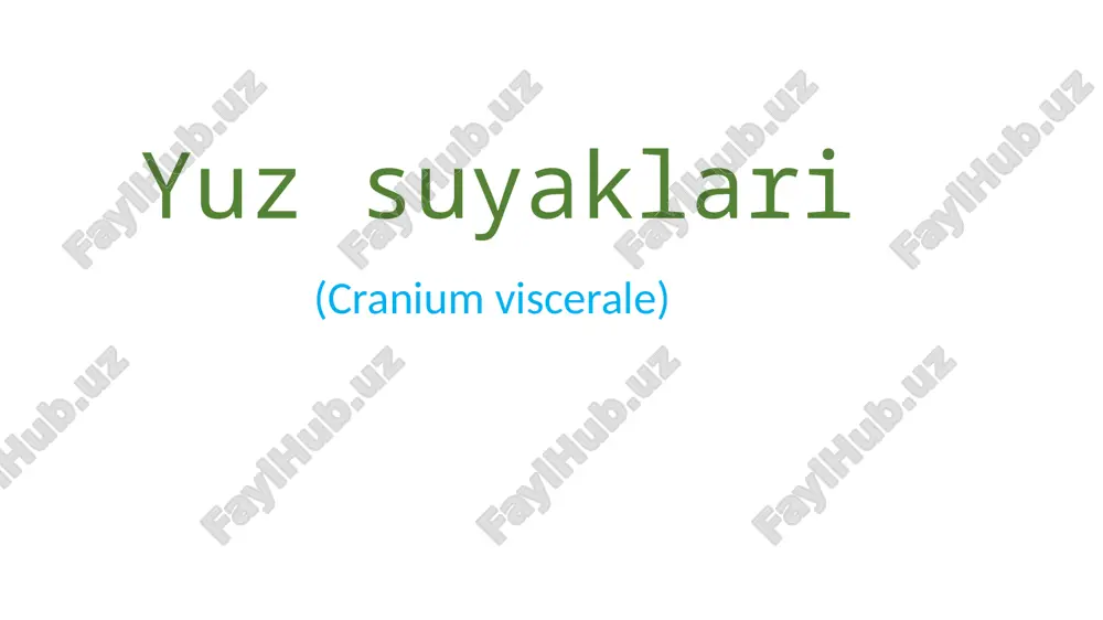 yuz suyaklari (cranium viscerale) — PPTX