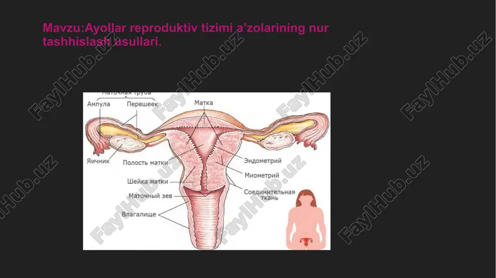 ayollar reproduktiv tizimi a’zolarining nur tashhislash usullari — PPTX
