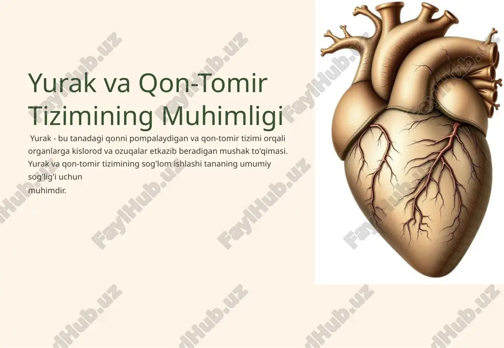 yurak va qon-tomir tizimining muhimligi — PPTX