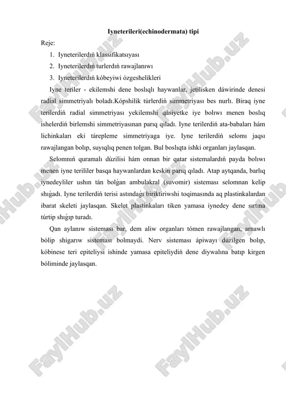 iyneterileri(echinodermata) tipi — DOCX
