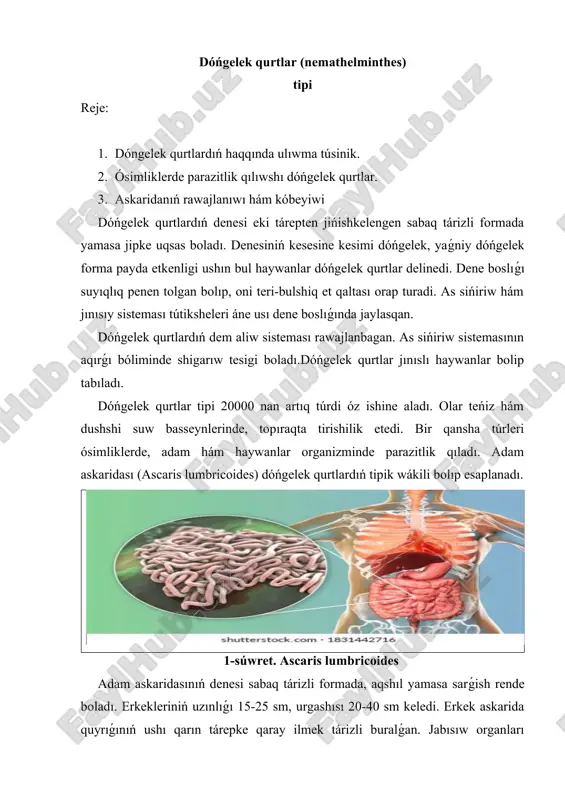 dóńgelek qurtlar (nemathelminthes) — DOCX