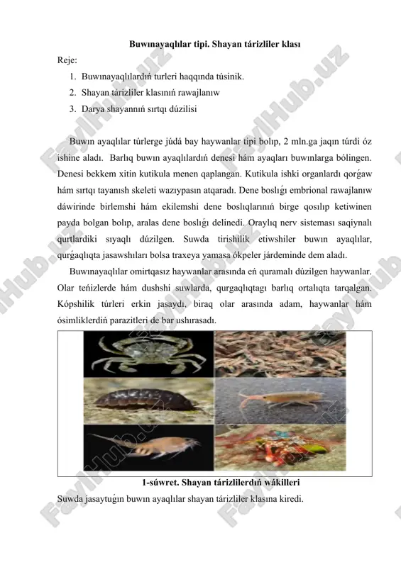 buwınayaqlılar tipi — DOCX