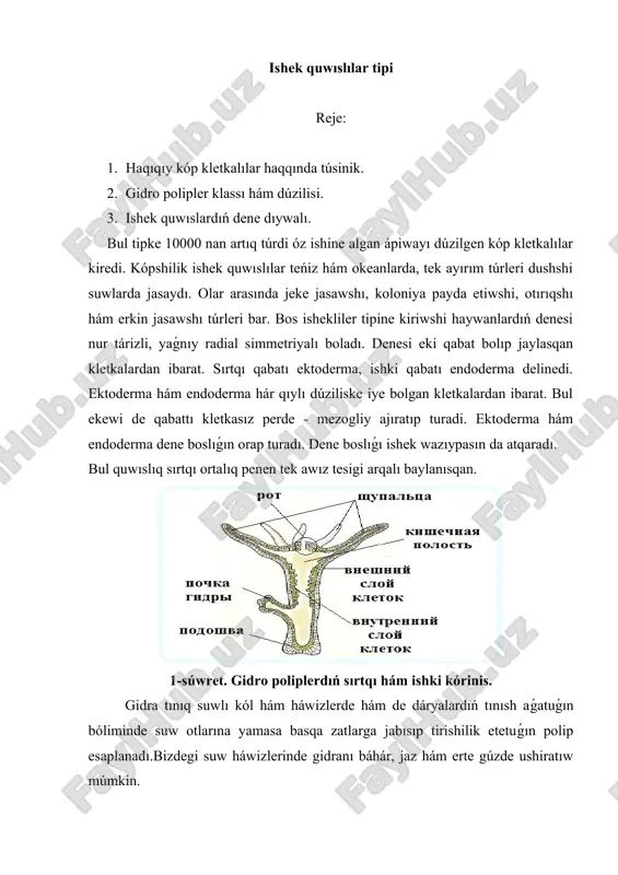 ishek quwıslar — DOCX