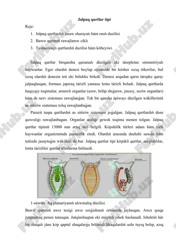 jalpaq qurtlar tipi — DOCX