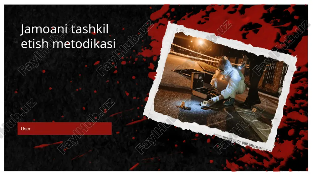 jamoani tashkil etish metodikasi — PPTX