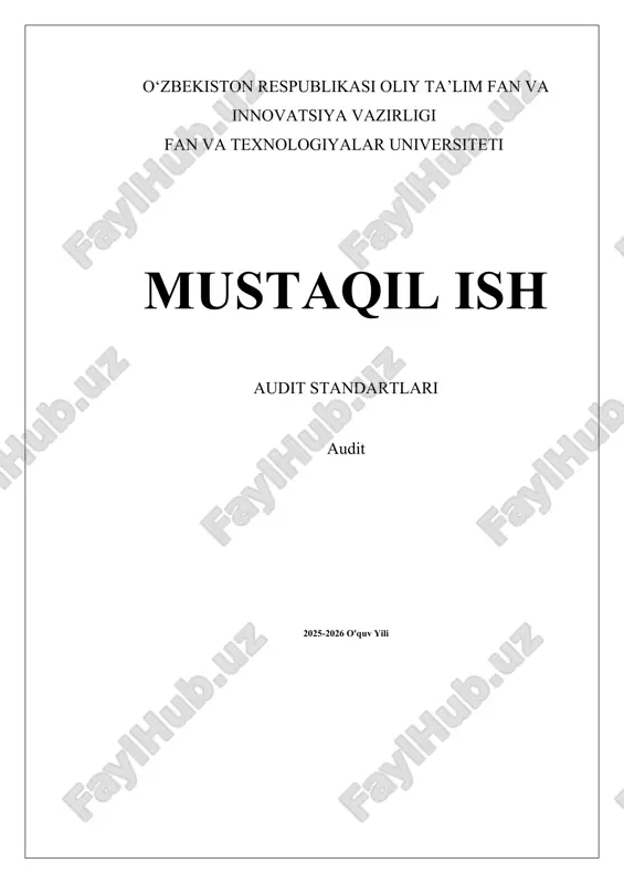 audit standartlari — DOCX