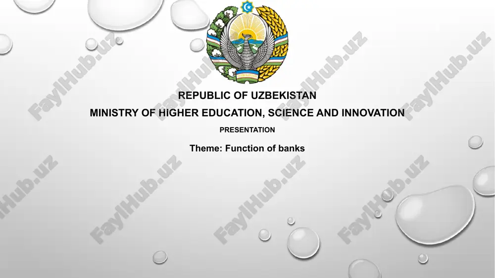 presentation on function of banks — PPTX