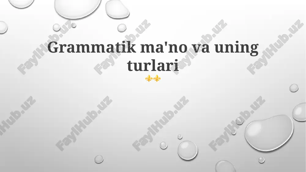 grammatik ma'no va uning turlari — PPTX