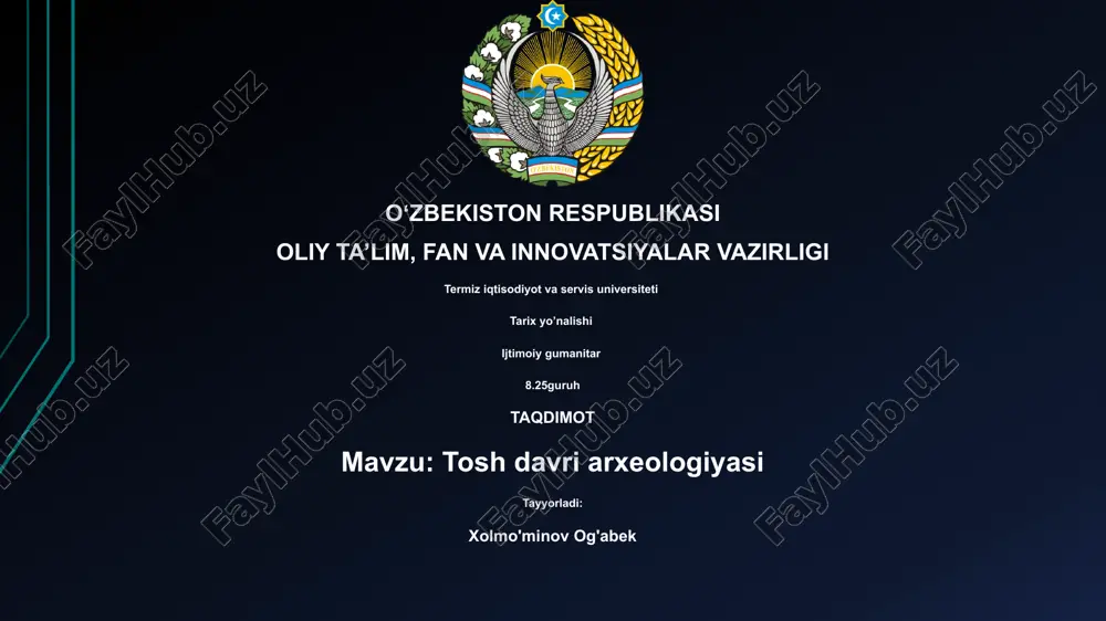tosh davri arxeologiyasi — PPTX