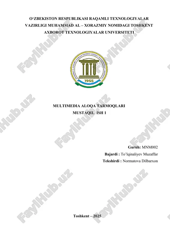 zxss10 ss1b o'quv tarmoq uskunalari, media shlyuzlari turlarini o'rganish — DOCX