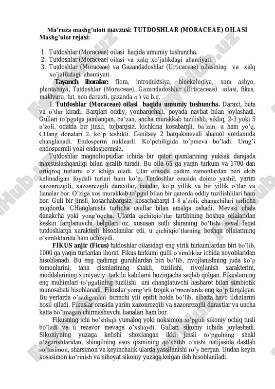 tutdoshlar (moraceae) oilasi — PDF