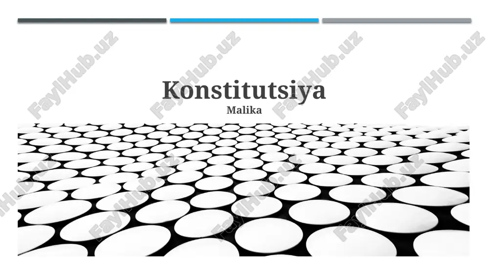 konstitutsiya — PPTX
