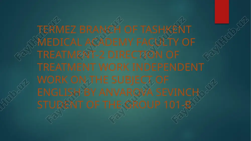 the alimentary tract of a human being — PPTX
