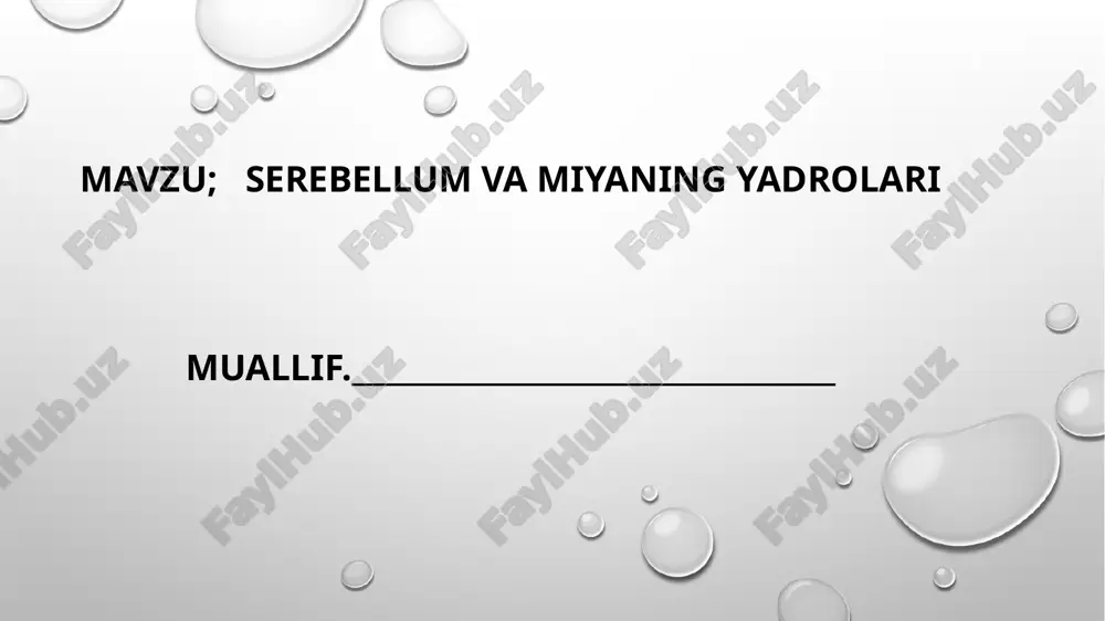 serebellum va miyaning yadrolari — PPTX