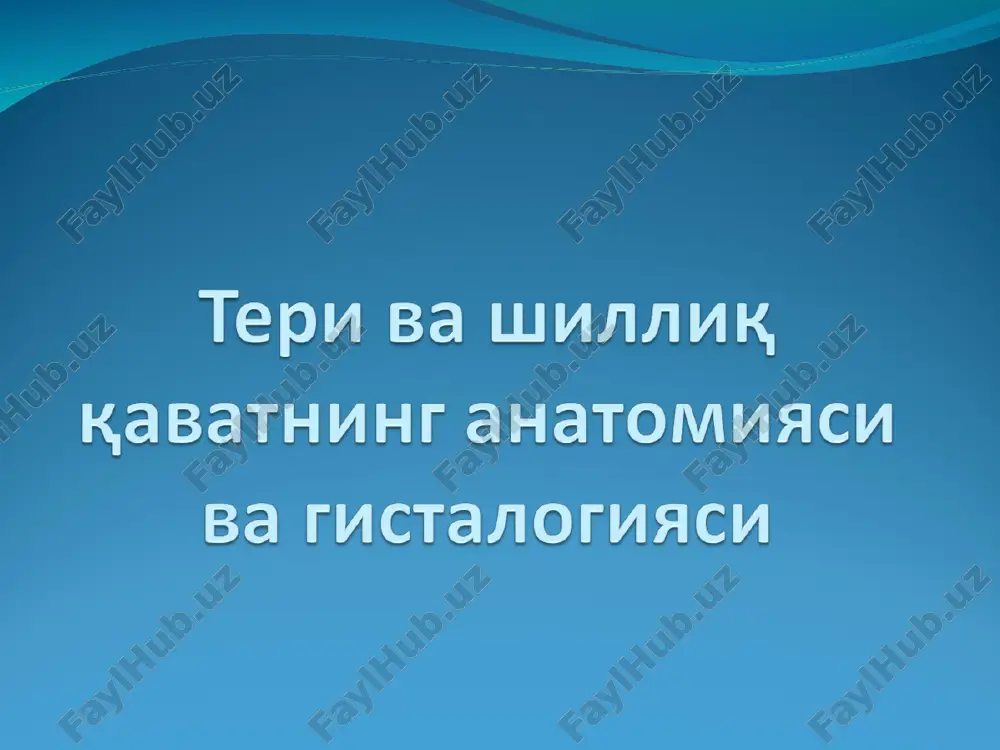 teri-inson tanasini qoplab turuvchi a'zo — PPT