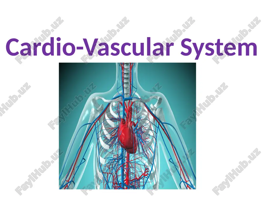 cardio-vascular system — PPTX