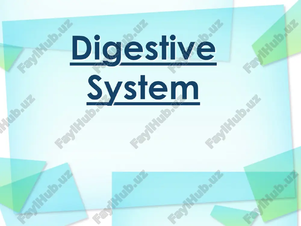 digestive system — PPT