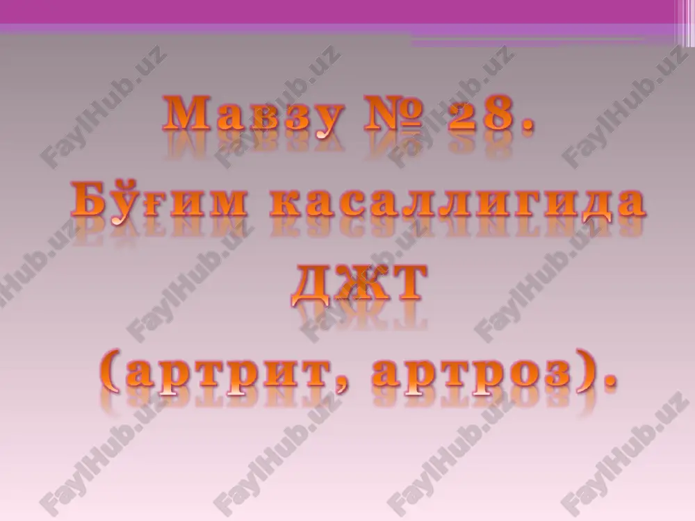 magay n2 28. — PPT