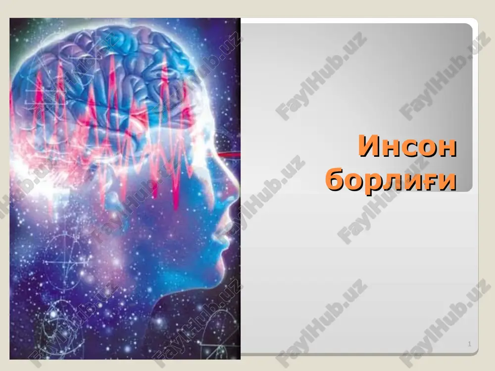 inson borlig'i — PPT