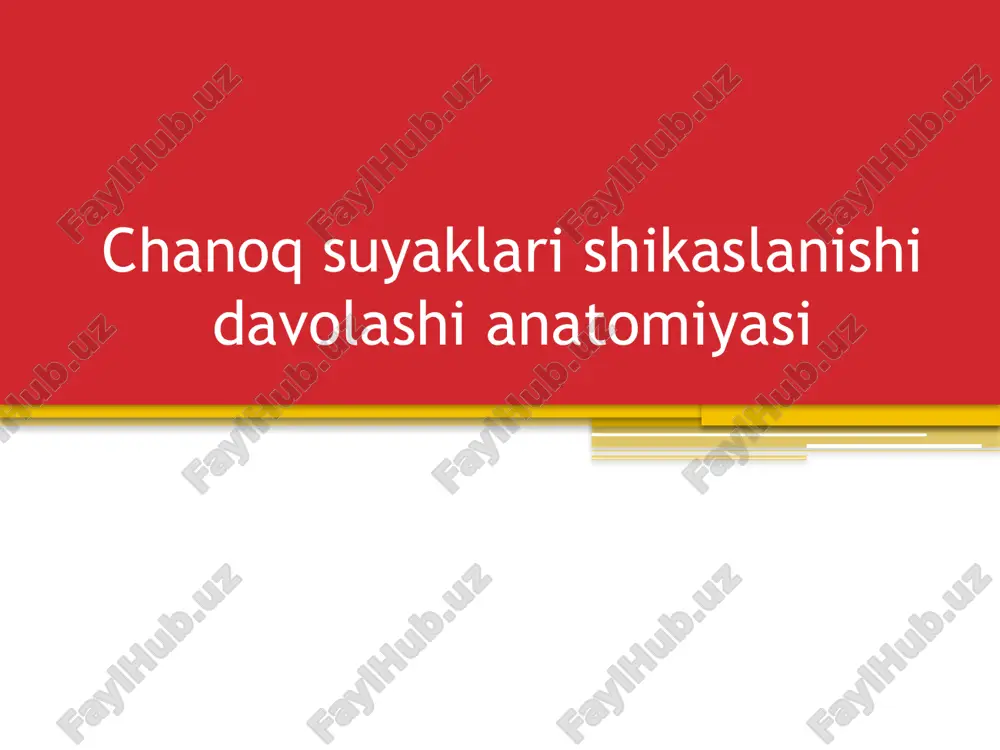 chanoqsuyaglar ishikaslanishidavolashianatomiyasi — PPTX