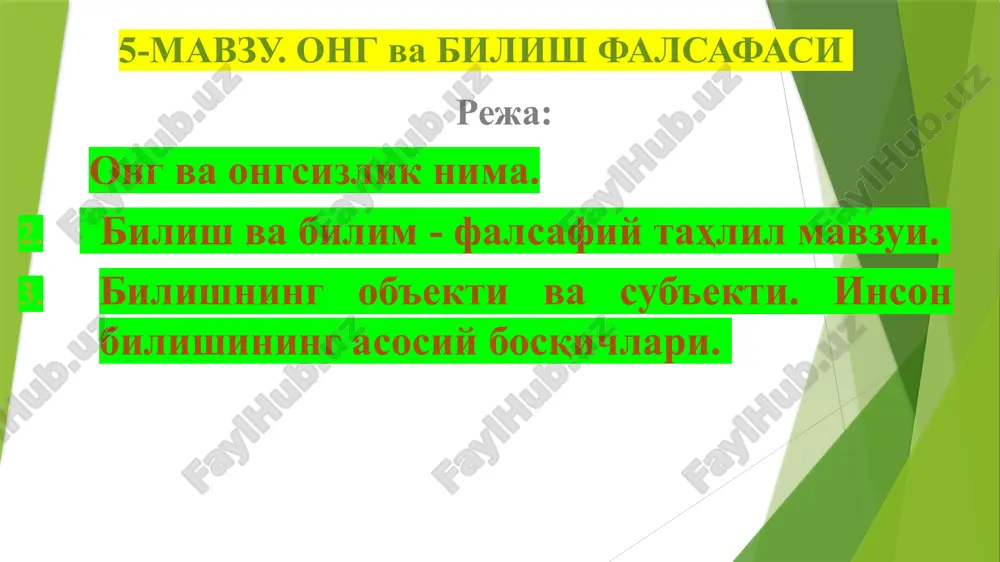 ong va bilish falsafasi — PPTX