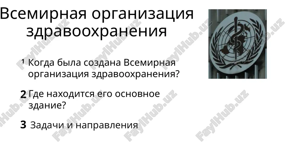 vsemirnaya organizatsiya zdravooxraneniya — PPTX