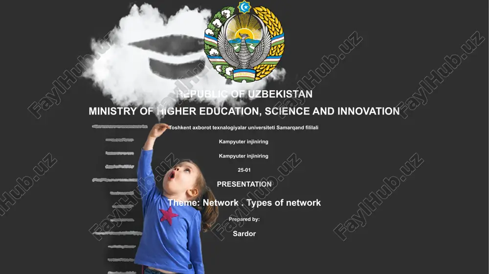 network — PPTX