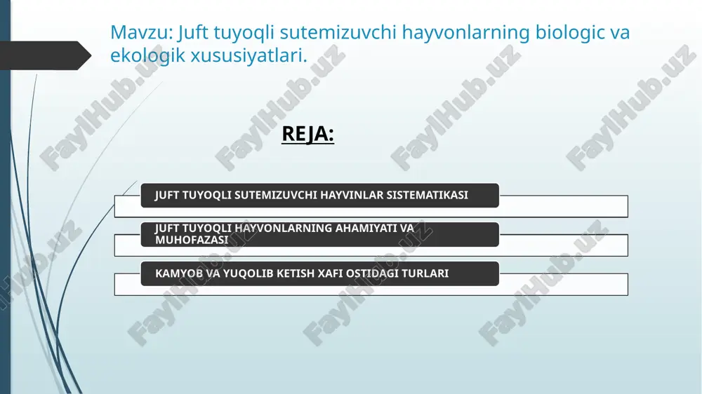 juft tuyoqli sutemizuvchi hayvonlar — PPTX