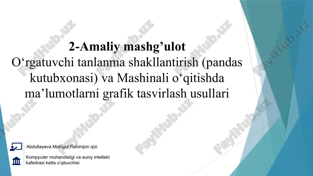 mashinali o‘qitishda ma’lumotlarni grafik tasvirlash usullari — PPTX