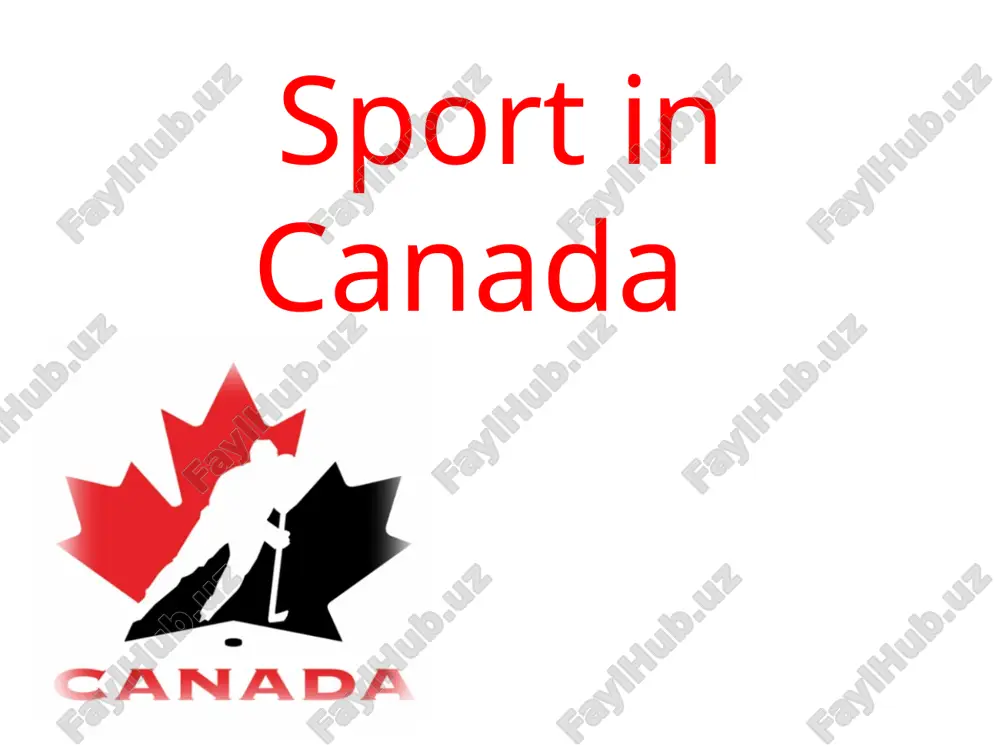 ice hockey — PPTX