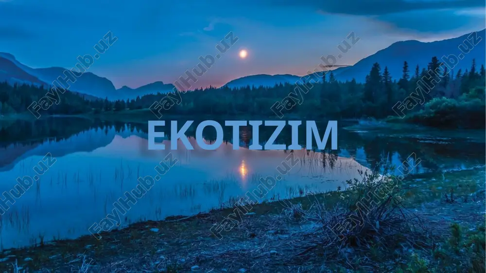 ekotizim — PPTX