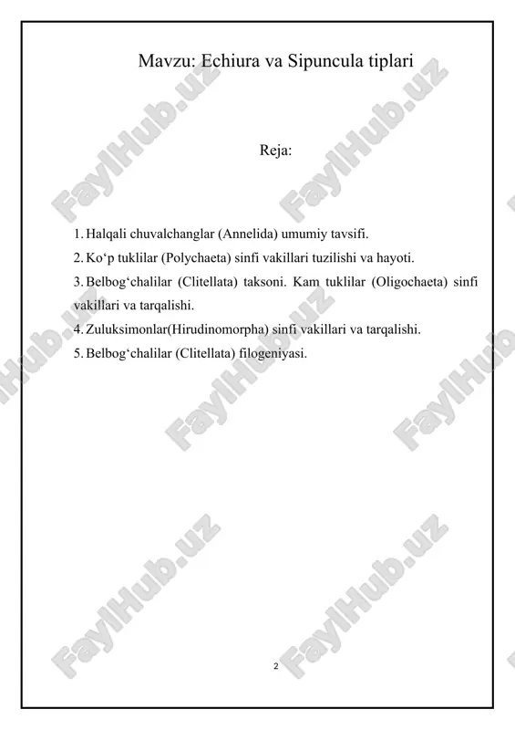 echiura va sipuncula tiplari — DOCX