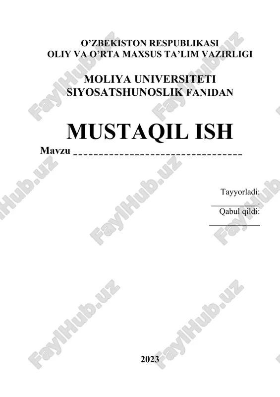 mustaqil ish — DOCX