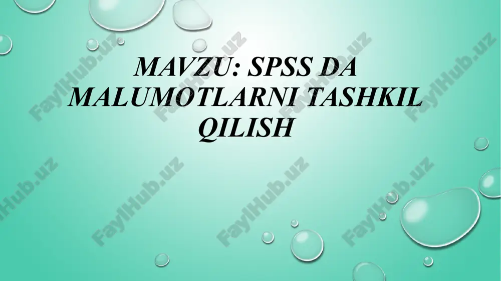 spss dasturi — PPTX