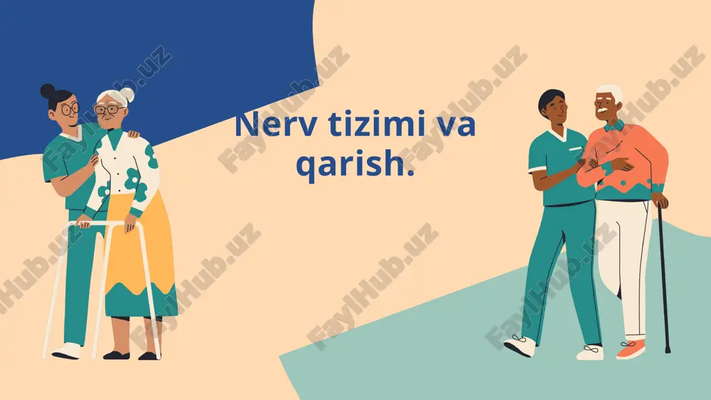 nerv tizimi va qarish — PPTX