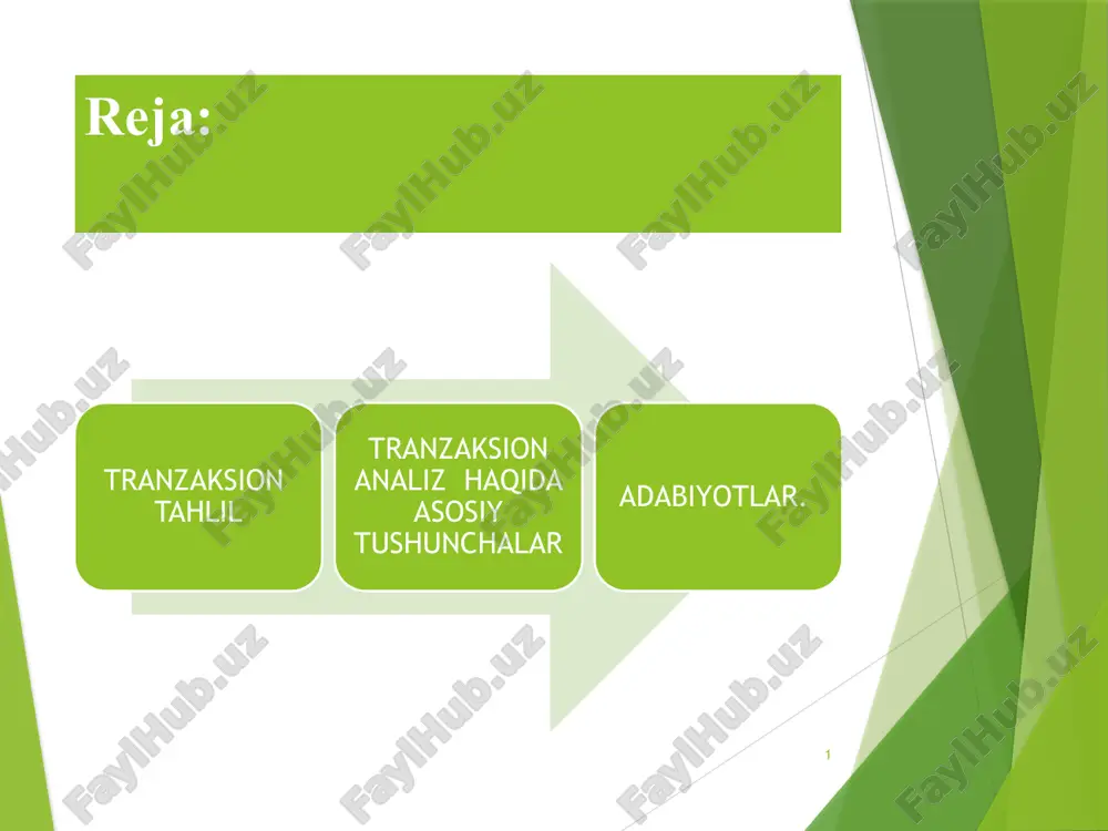 transaksion tahlil — PPTX