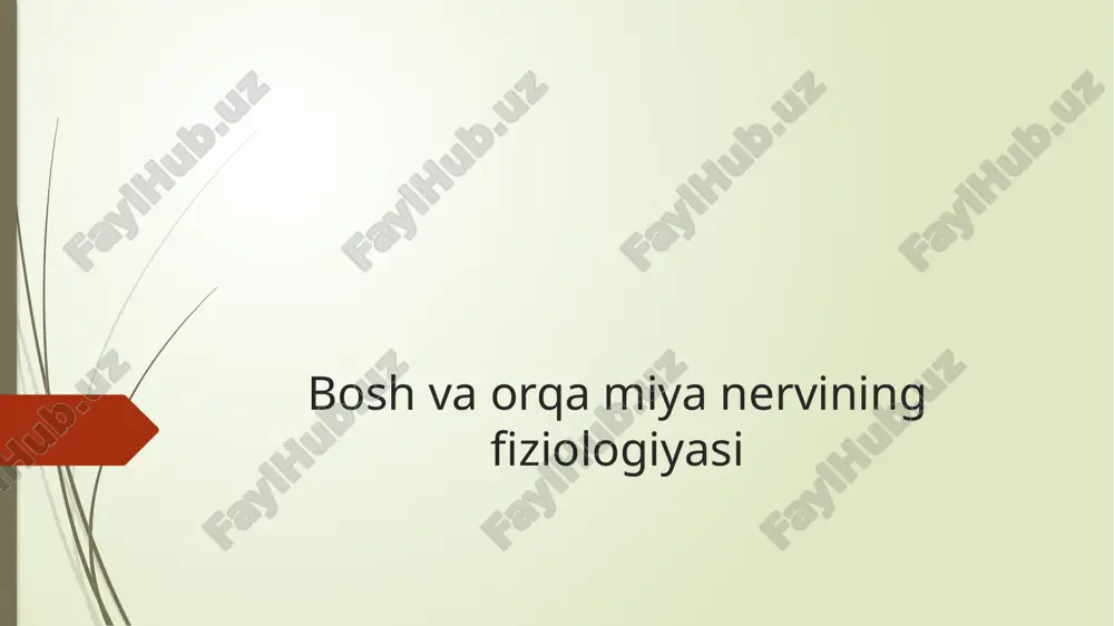 bosh va orqa miya nervining fiziologiyasi — PPTX
