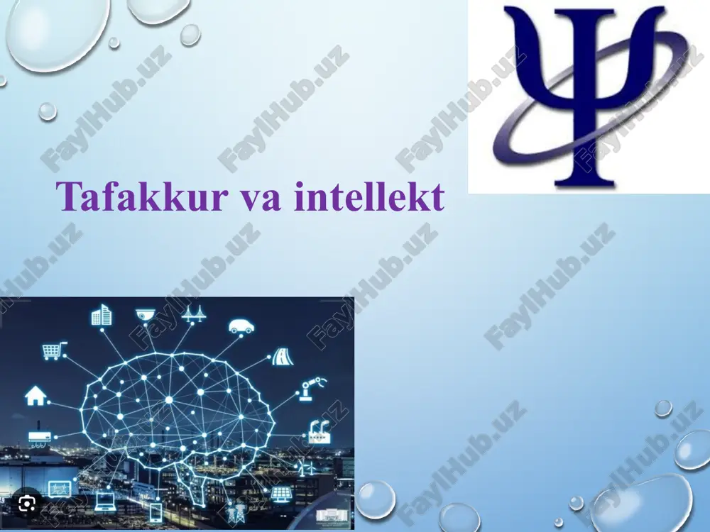 tafakkur va intellekt — PPTX