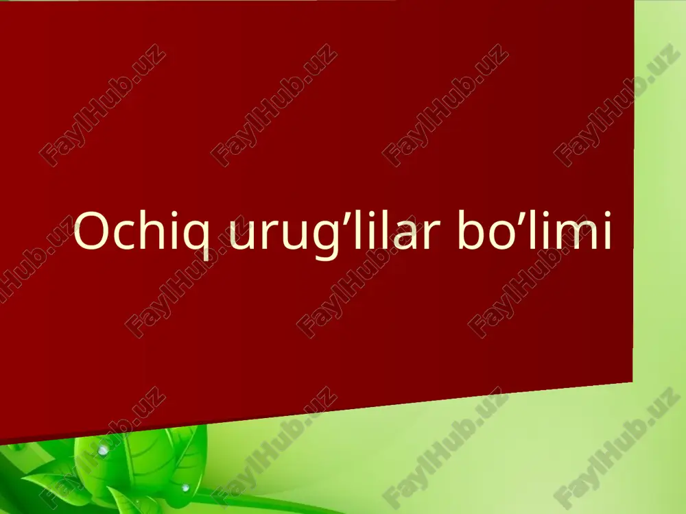 ochiq urug‘lilar bo‘limi — PPTX