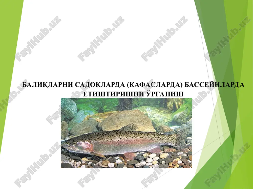 электрон почта — PPT