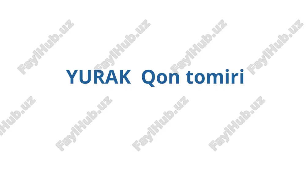 yurak qon tomirlari — PPTX