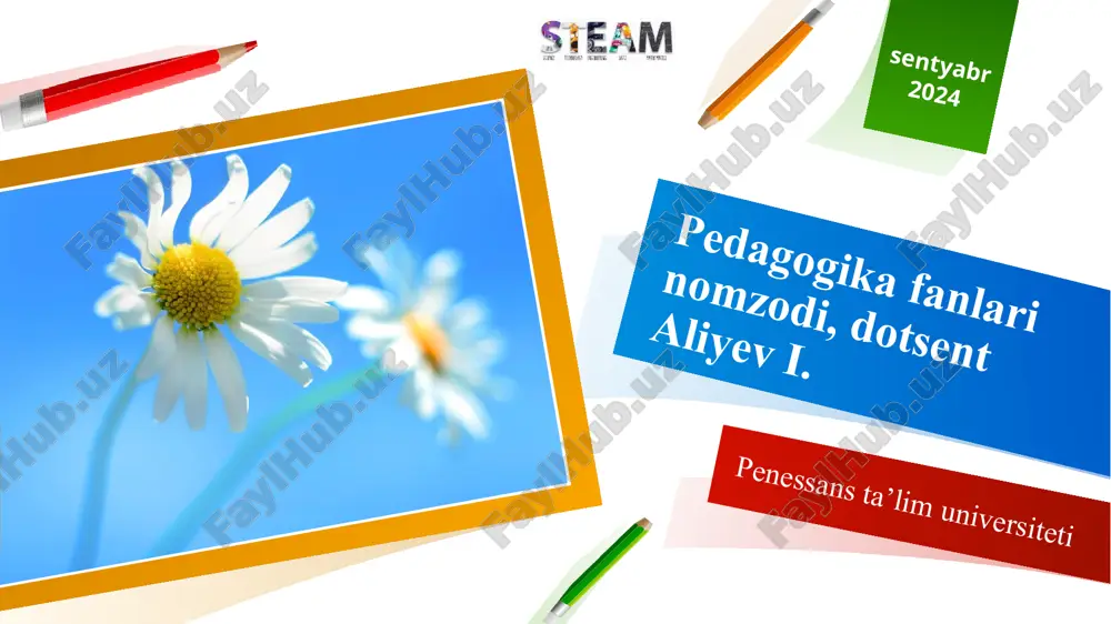 steam ta'limi — PPTX