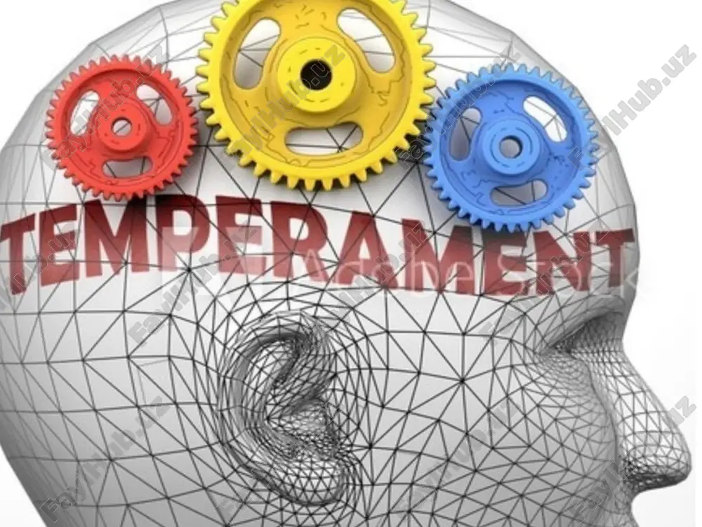 temperament — ZIP